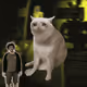 9165