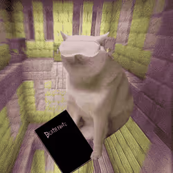 Cash Cat #3164