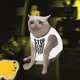 9083