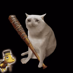 Cash Cat #916