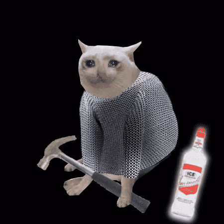 Cash Cat #7162