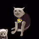 6700