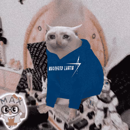 Cash Cat #4784
