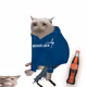 9728