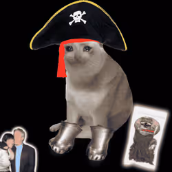 Cash Cat #6290