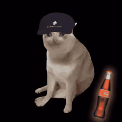 Cash Cat #6133
