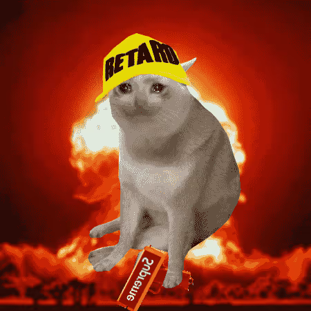 Cash Cat #2692