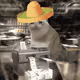 Cash Cat #7930