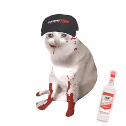 Cash Cat #9767