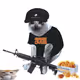 Cash Cat #4631