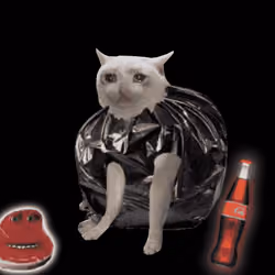 Cash Cat #7505