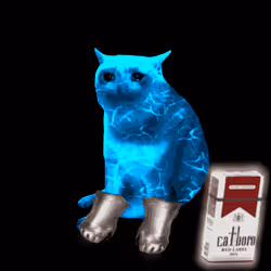 Cash Cat #7519