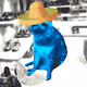 Cash Cat #7205