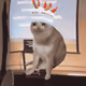 7355