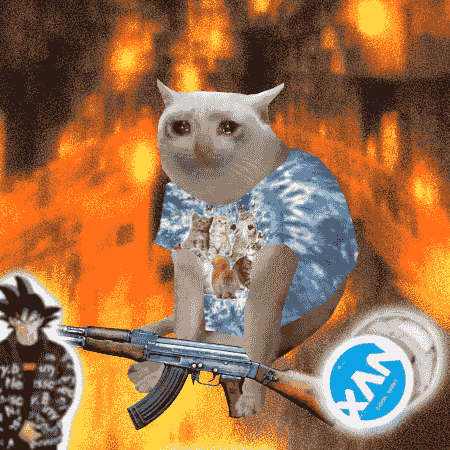 Cash Cat #4508