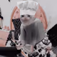 6676