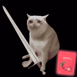 Cash Cat #9584