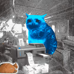 Cash Cat #7684