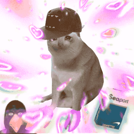 Cash Cat #3067