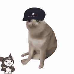 Cash Cat #5566