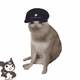 5566