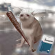 Cash Cat #2624