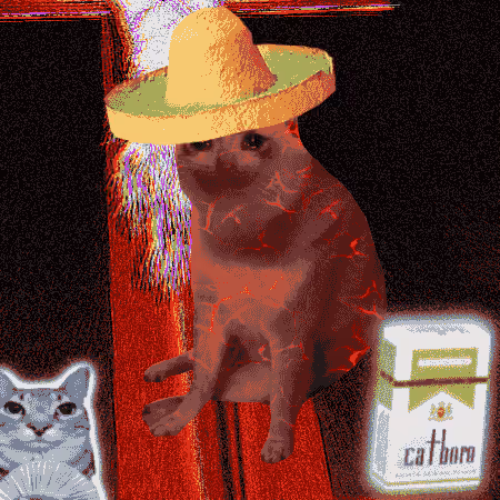 Cash Cat #2296
