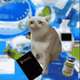 Cash Cat #5810
