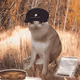 9211