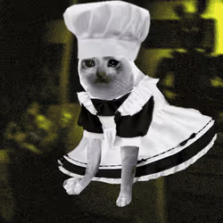 Cash Cat #5552