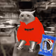 Cash Cat #6970