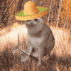 Cash Cat #8348