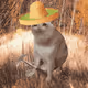 Cash Cat #8348