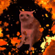 339