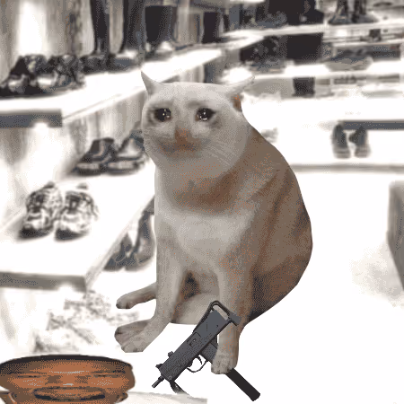 Cash Cat #3480