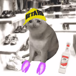 Cash Cat #3535