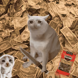 Cash Cat #4129