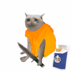 Cash Cat #6221
