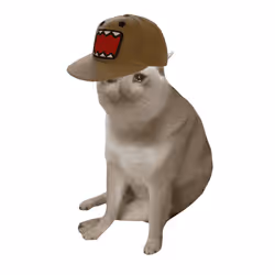 Cash Cat #6354