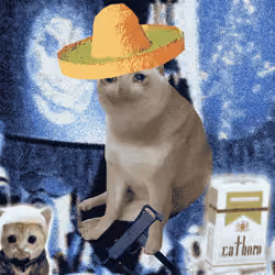 Cash Cat #3762