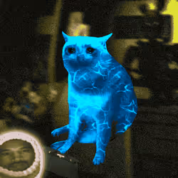 Cash Cat #3072