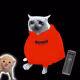 6270