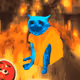4884
