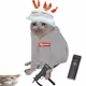Cash Cat #3936