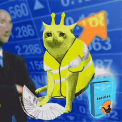Cash Cat #4897