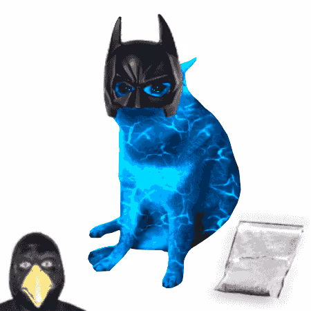 Cash Cat #6487
