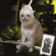 3718