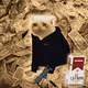 Cash Cat #1813