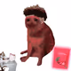 6293