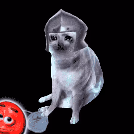 Cash Cat #431